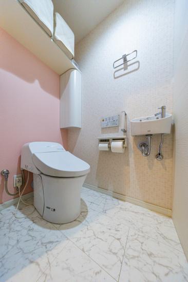 ルネ南市川-7-トイレ