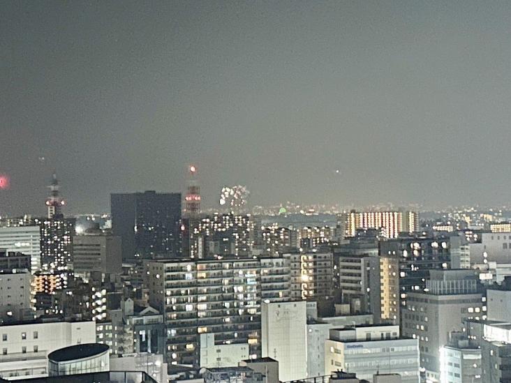 ＣＨＩＢＡ　ＣＥＮＴＲＡＬ　ＴＯＷＥＲ-25-眺望