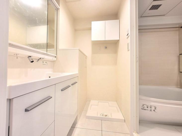 ソフトタウン谷津遊園２号棟-17-洗面