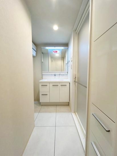 ソフトタウンニュー谷津遊園-12-洗面