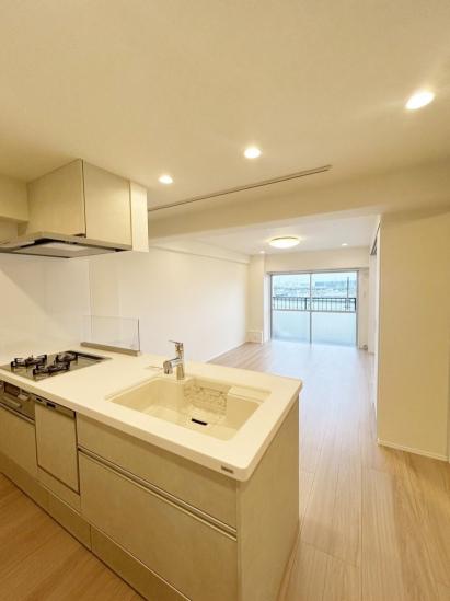 ソフトタウンニュー谷津遊園-18-キッチン