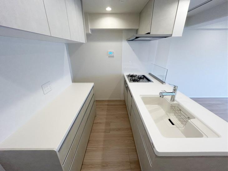 ソフトタウンニュー谷津遊園-20-キッチン