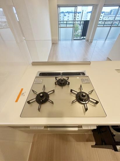 ソフトタウンニュー谷津遊園-24-キッチン