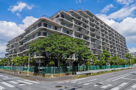 ソフトタウンニュー谷津遊園