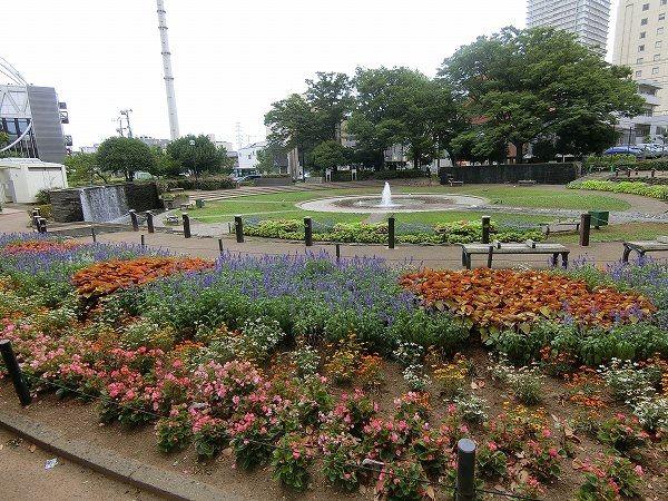 シティホームズ船橋本町-24-公園