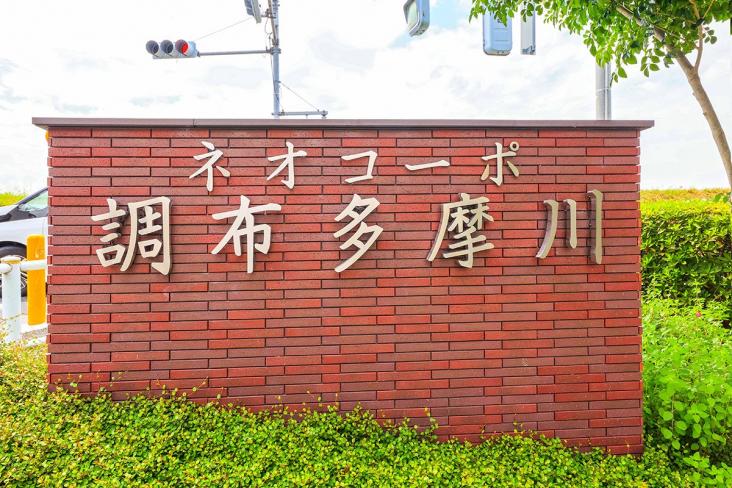 ネオコーポ調布多摩川-21-その他現地