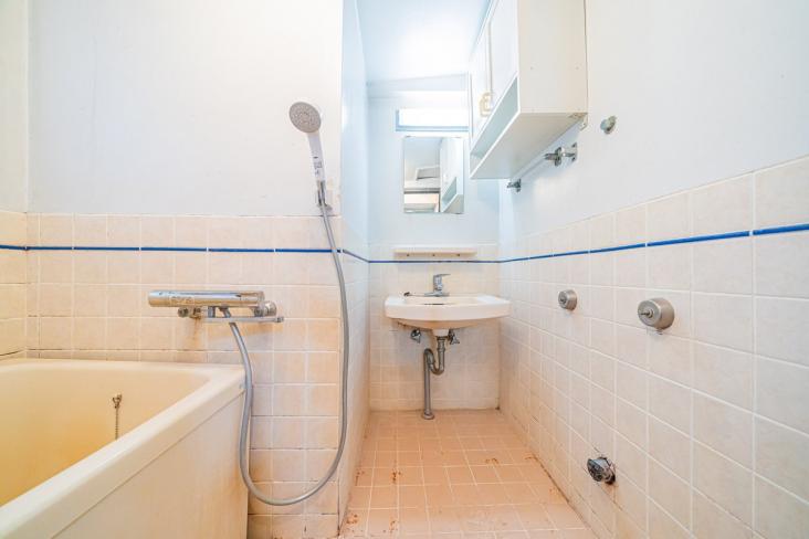 梅丘アイワマンション-17-洗面