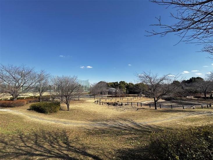 三鷹市大沢４丁目新築戸建-13-公園