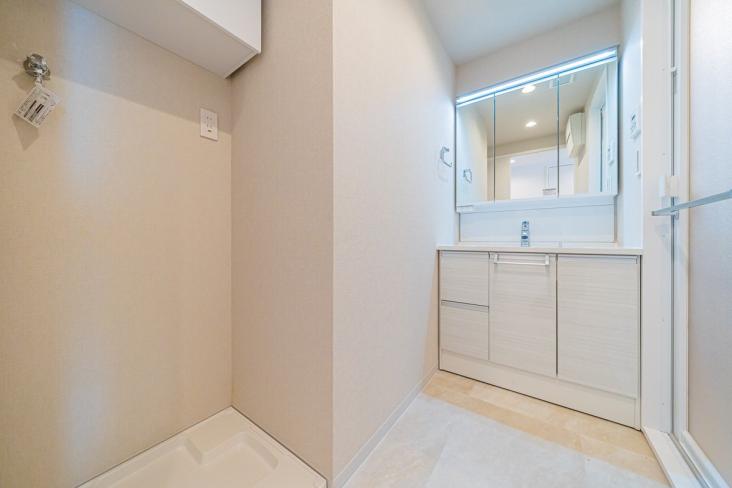 藤和シティコープ国分寺Ⅱ-13-洗面