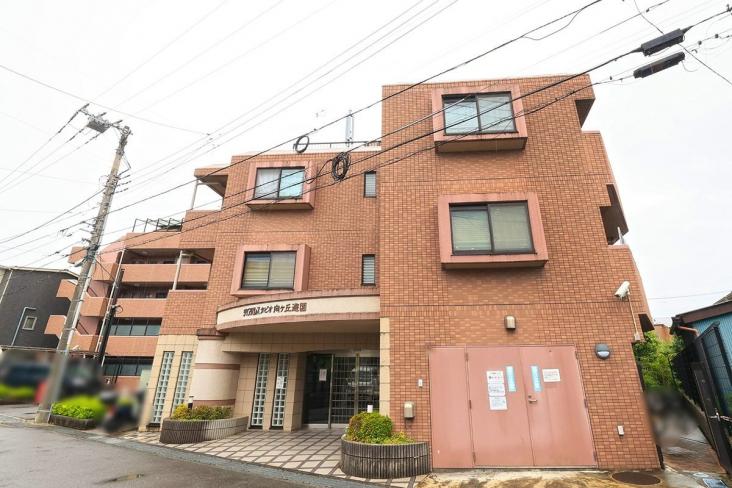 ダイアパレスタピオ向ヶ丘遊園-0-外観