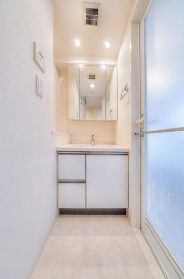 ダイナシティ立川-6-洗面