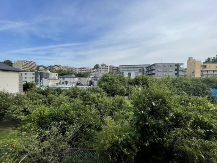 向ヶ丘遊園ハイデンス-3-眺望