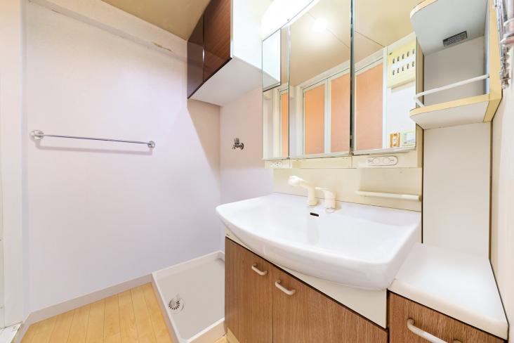 向ヶ丘遊園ハイデンス-10-洗面