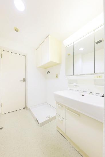 ハイツ向ヶ丘遊園-18-洗面