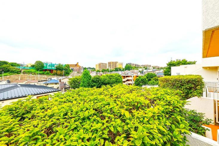 ハイツ向ヶ丘遊園-28-眺望