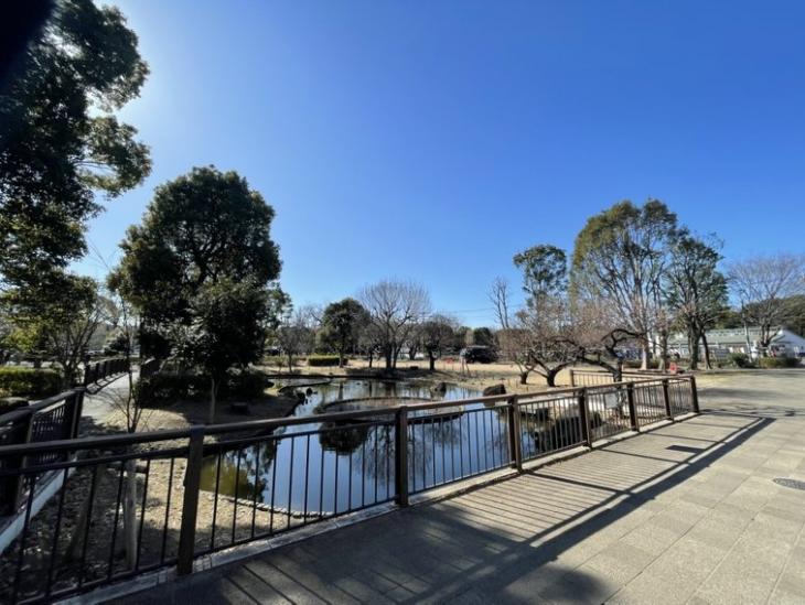 センチュリー府中南町-19-公園