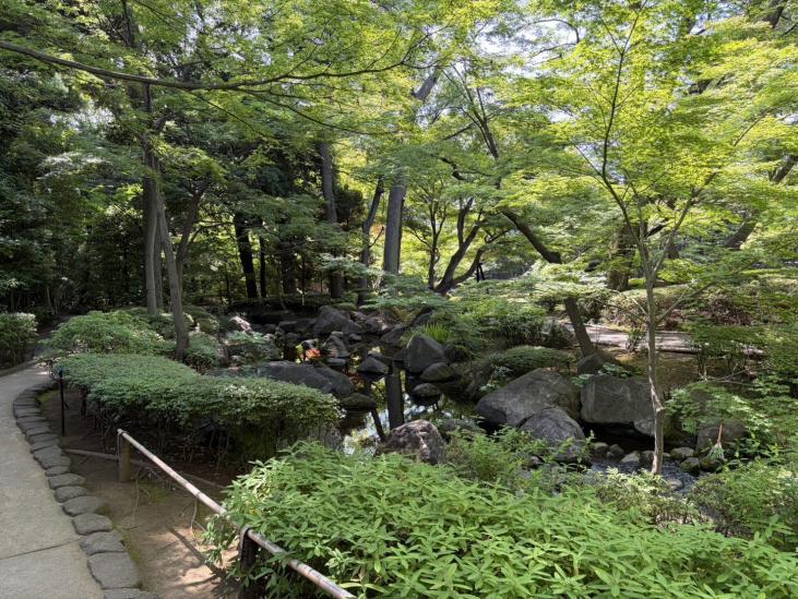 杉並区荻窪２丁目新築戸建-43-公園