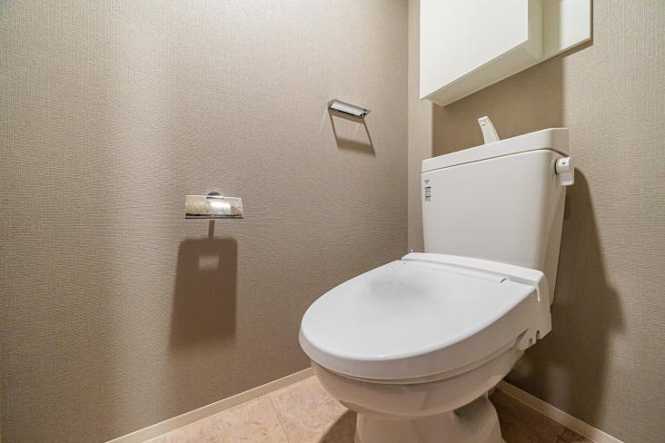 シティハウス小金井公園C棟-17-トイレ