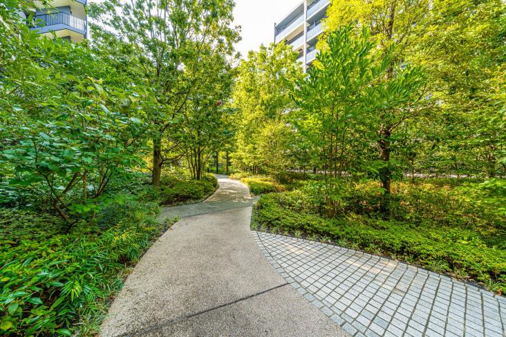 シティハウス小金井公園C棟-27-その他現地