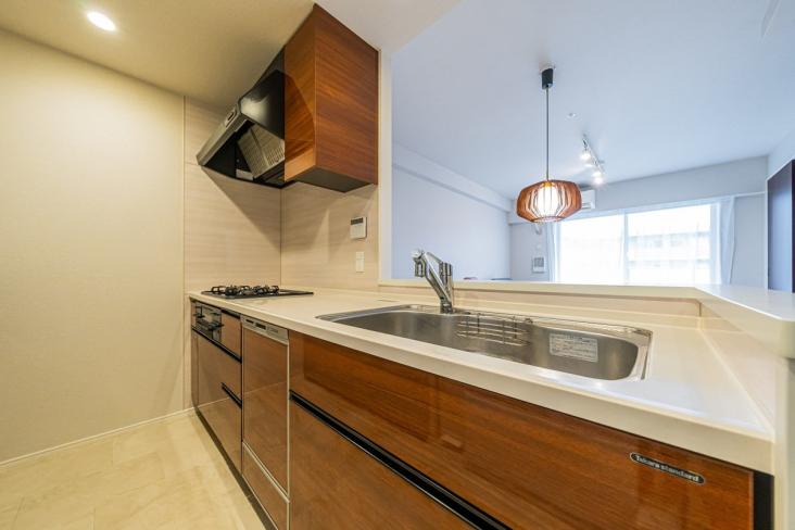 ファインシティ武蔵野富士見-10-キッチン