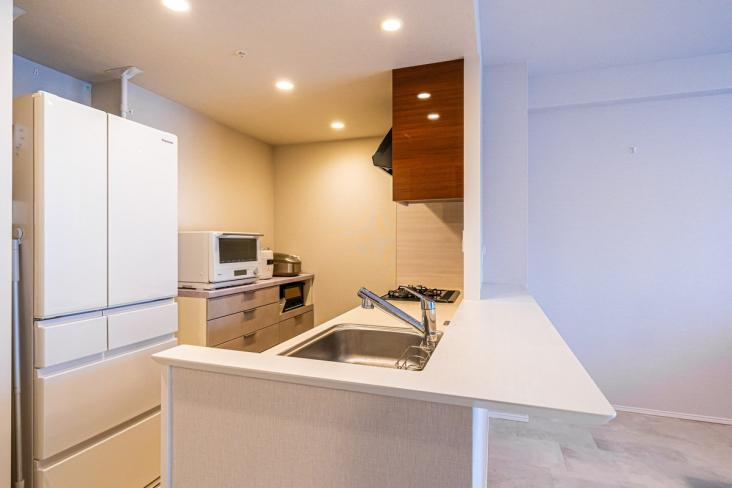 ファインシティ武蔵野富士見-11-キッチン