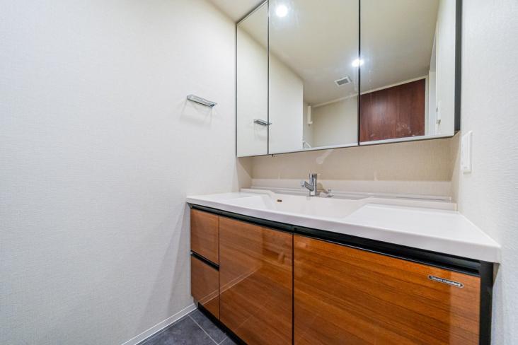 ファインシティ武蔵野富士見-13-洗面