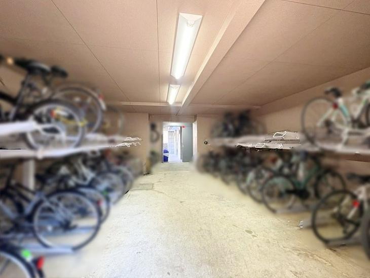 ライオンズテラス武蔵小金井-12-共有部分