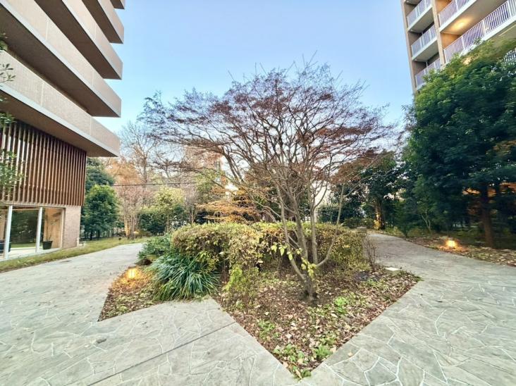 ココロコス東京久米川　ケヤキ街区-7-共有部分