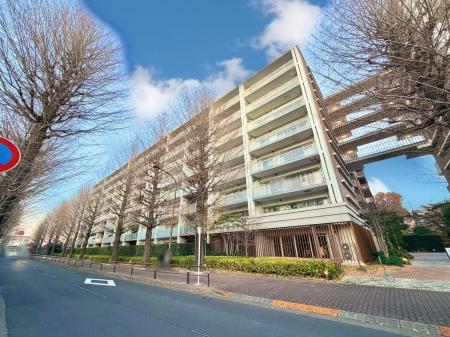 ココロコス東京久米川　ケヤキ街区