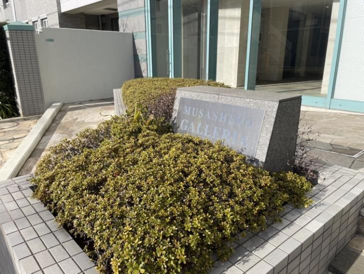 武蔵野ガレリアルーチェテラッツァ-3-その他現地