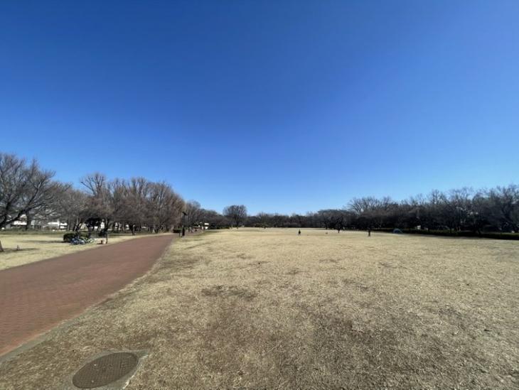 サンヴェール久米川-20-公園