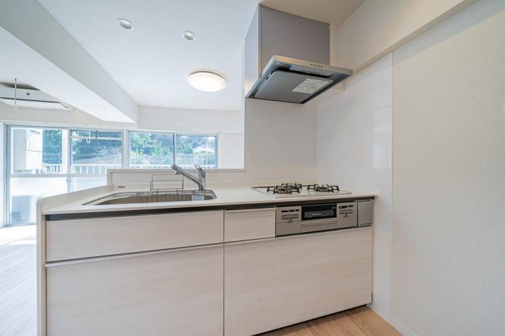 ビッグ武蔵野田無-6-キッチン