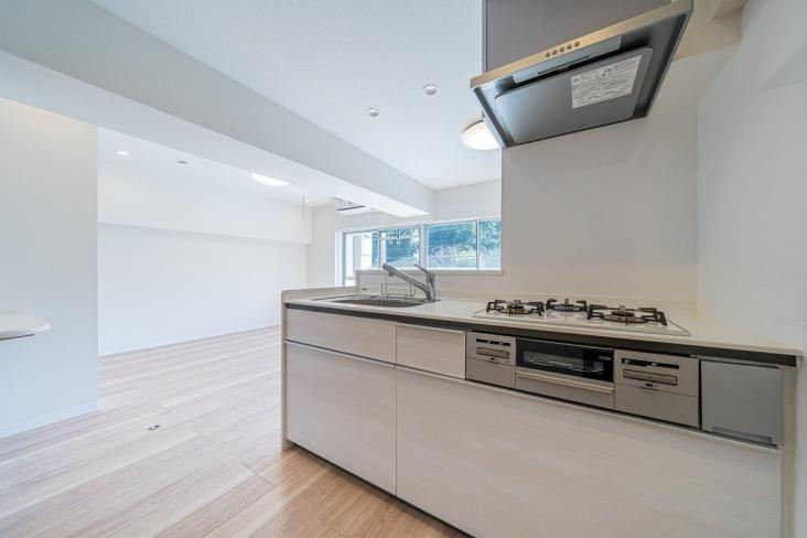 ビッグ武蔵野田無-8-キッチン