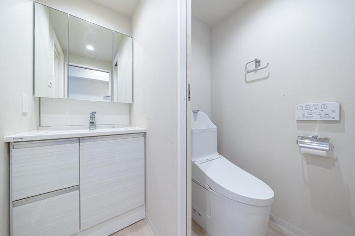 ビッグ武蔵野田無-15-洗面