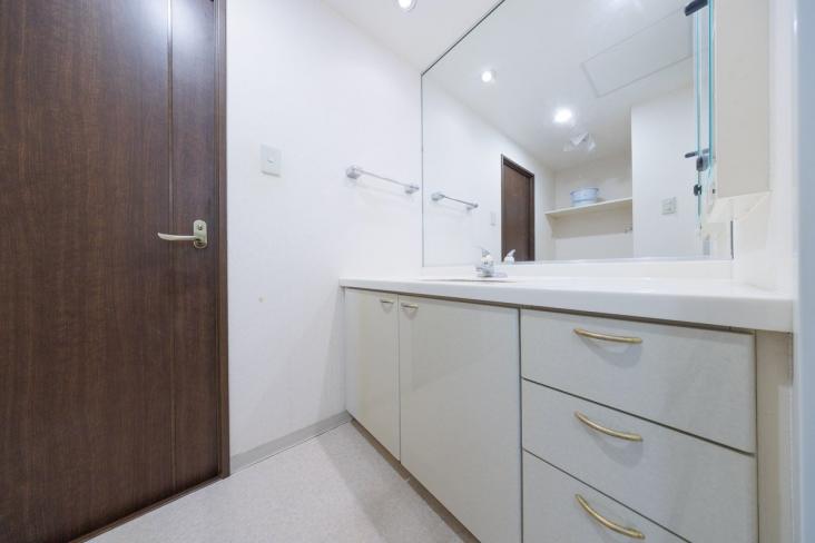 グランスクエア一橋学園参番街-8-洗面