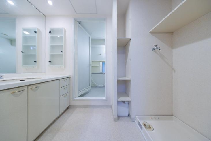 グランスクエア一橋学園参番街-9-洗面