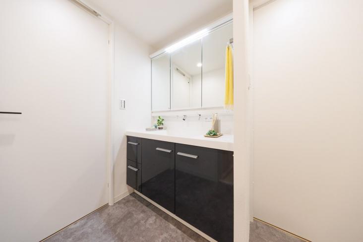 吉祥寺北パークホームズ-9-洗面