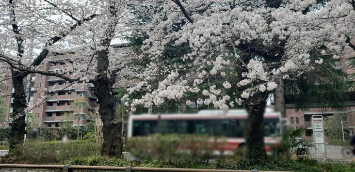 桜堤庭園テラス-42-その他現地