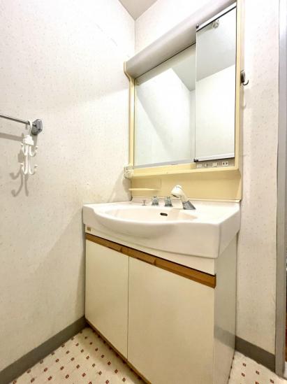 グリーンパーク西保木間-10-洗面