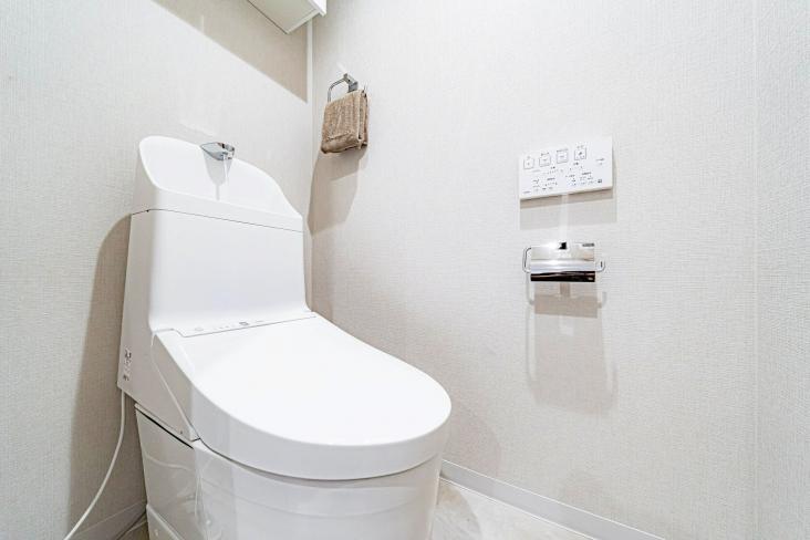 レクセルプラザ堀切菖蒲園-11-トイレ