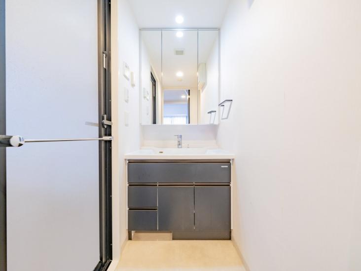 ミルーナヒルズエグラス六町-10-洗面