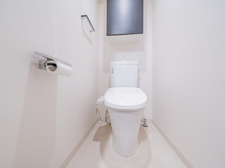 ミルーナヒルズエグラス六町-11-トイレ