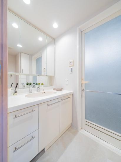 クレストフォルム青砥グランデッツァ-11-洗面