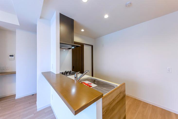 エスエスケーグリーンパーク中居町-13-キッチン