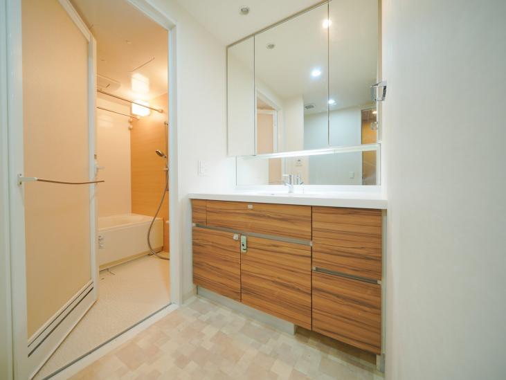 ザ・パークハウス青砥-5-洗面