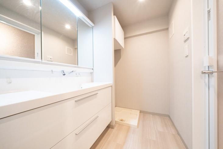 コスモお花茶屋壱番館-13-洗面