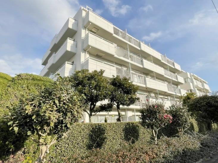 いづみハイツ柴又-15-外観