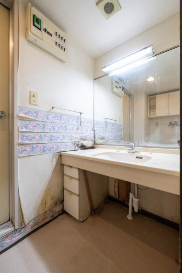 ウッディライフお花茶屋-18-洗面