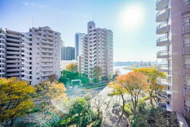 シテヌーブ北千住３０　Ａ棟-7-眺望