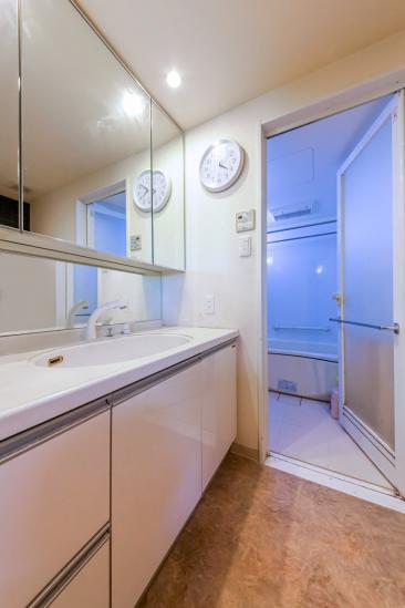 ゼファー西新井プラウディーヌ-8-洗面